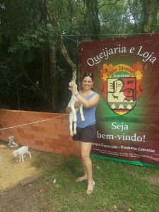 Agendinha poa 26 e 27 de novembro