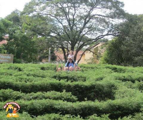 Labirinto verde em Nova Petrópolis
