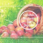 Colhendo maçãs em São Joaquim