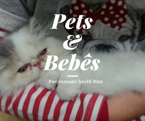 Pets e bebês