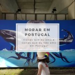 Coisas que eu amo e coisas que eu não amo em Portugal