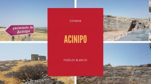Acinipo