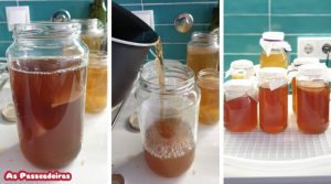 kombucha o que é e como fazer