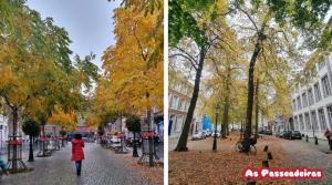 Maastricht e a universidade